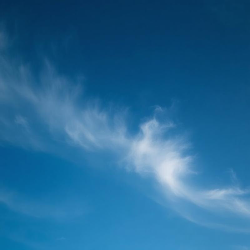 Respiratório